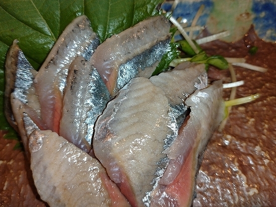 DSC_9585.jpg